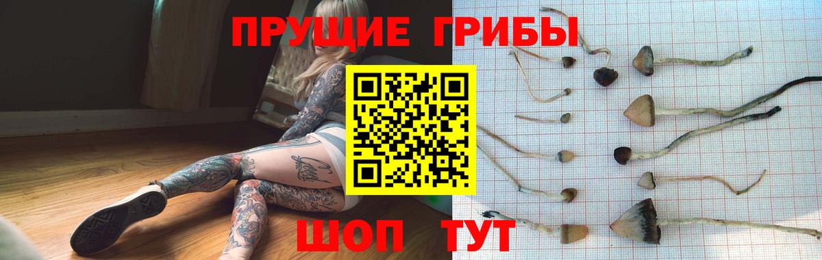 Верхний Уфалей  Псилоцибиновые грибы Cubensis  Вход с VPN 